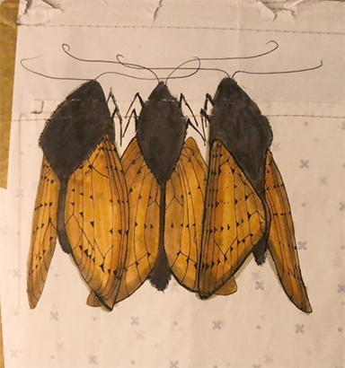 rachel